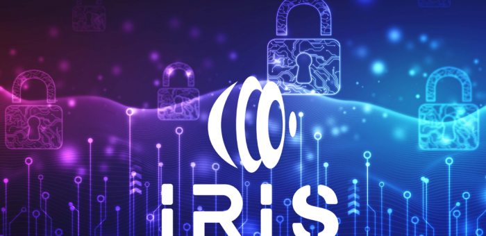 Minimising the impact of cybersecurity and privacy risks via IRIS project!